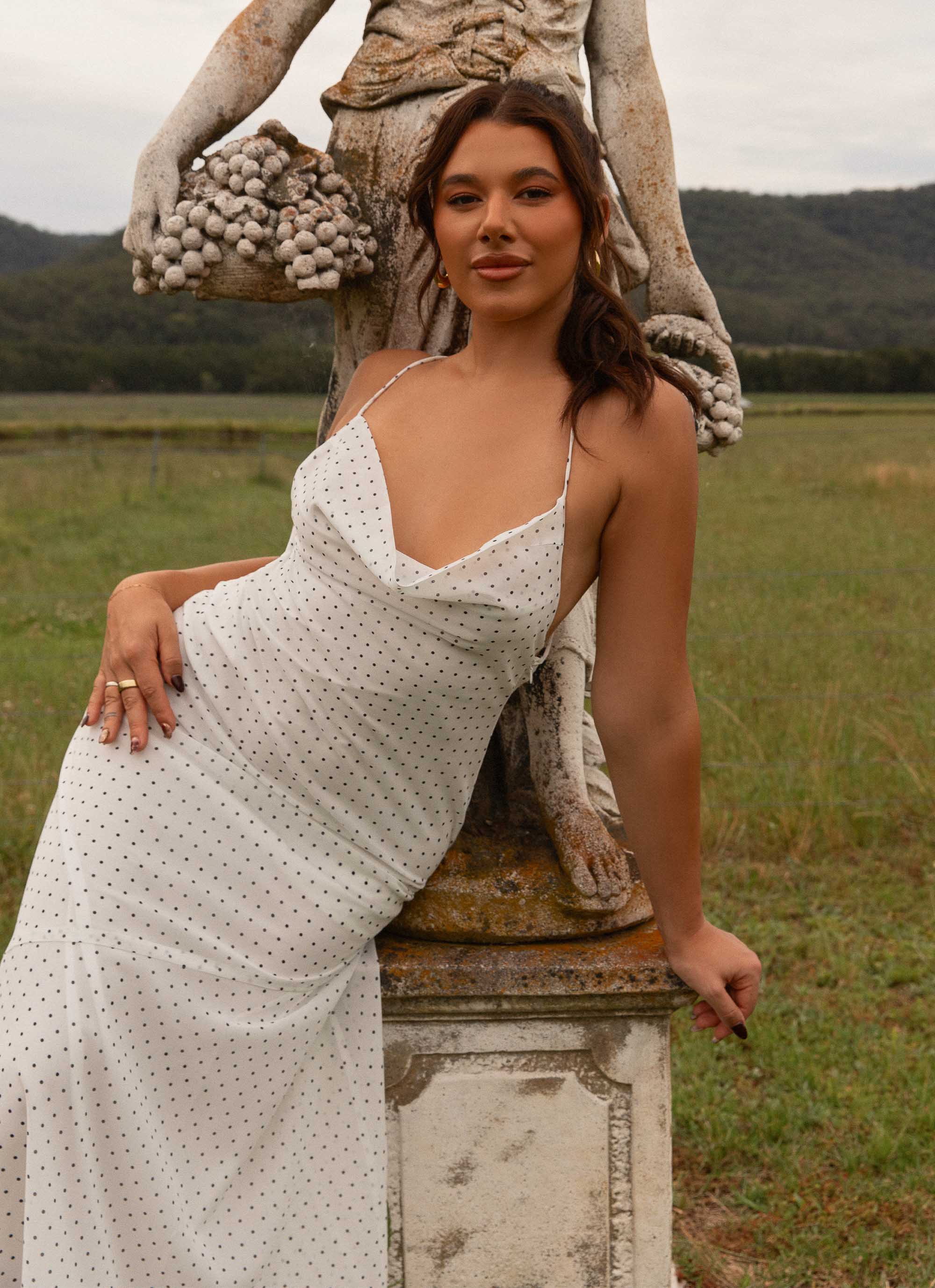 Alianna Cowl Neck Mesh Maxi Dress - White Polka Dot Alianna Cowl Neck Mesh Maxi Dress - White Polka Dot
