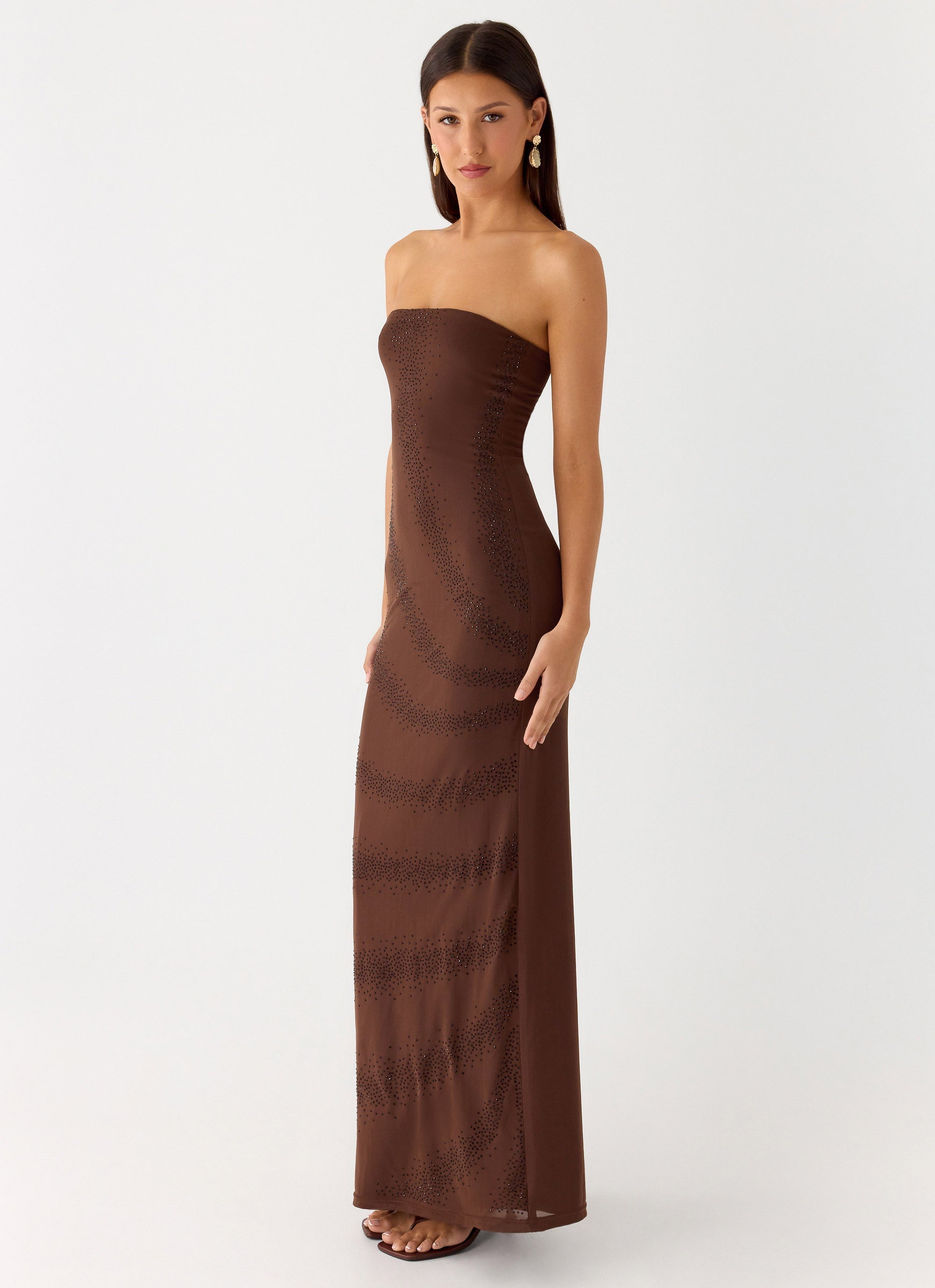 Belisse Beaded Mesh Maxi Dress