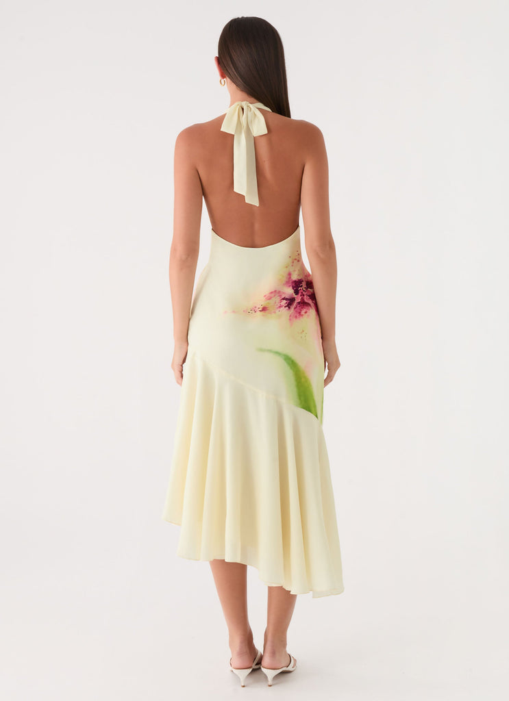 soft midi dress Darline Midi Dress