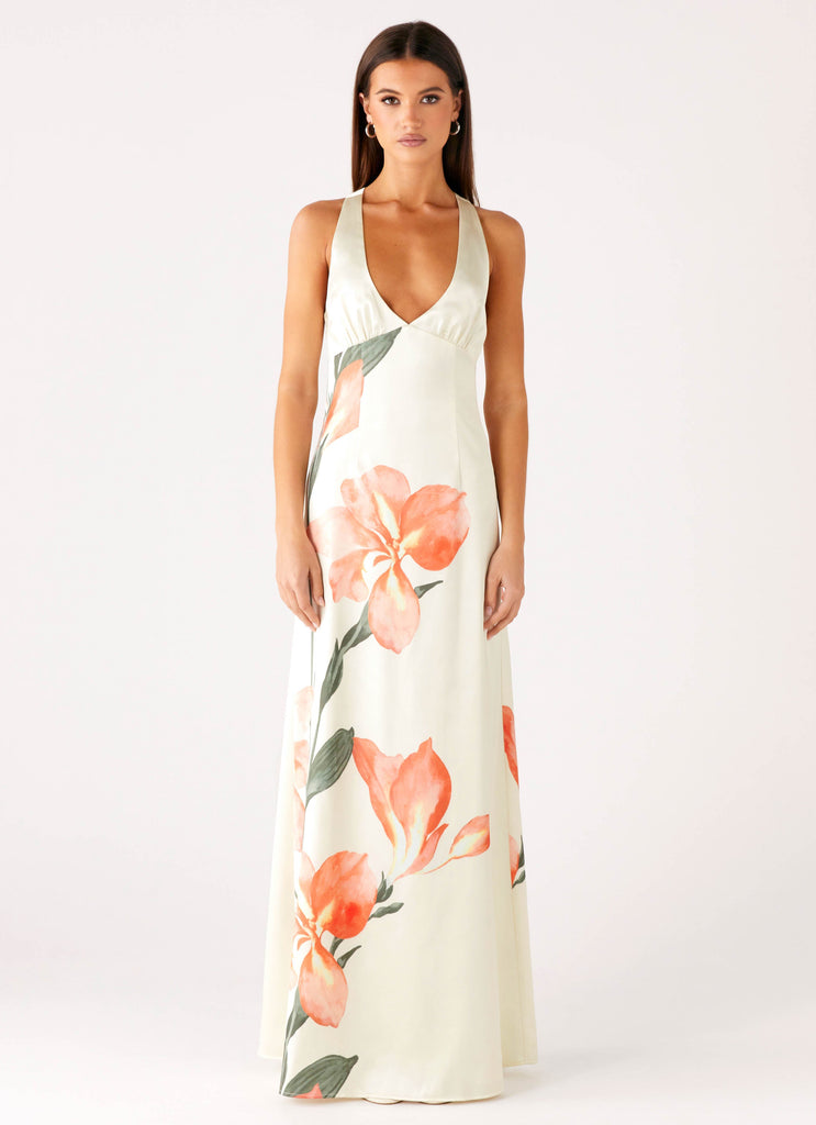 fiorenza midi dress V. Chapman Fiorenza Midi Dress in Provencal Blue Floral