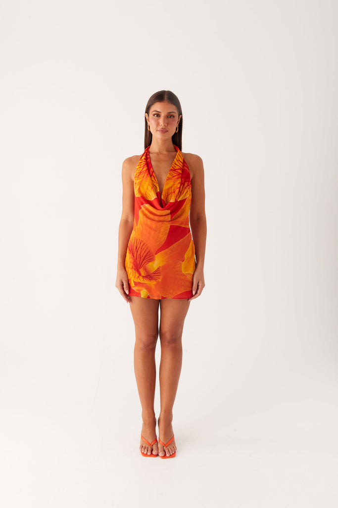 Solar Beam Cowl Mini Dress - Serene Orange Peppermayo US Solar Beam Cowl Mini Dress - Serene Orange Peppermayo US