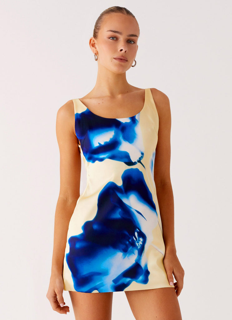 heirloom mini dress Heirloom Mini Dress | Dove | Size XS